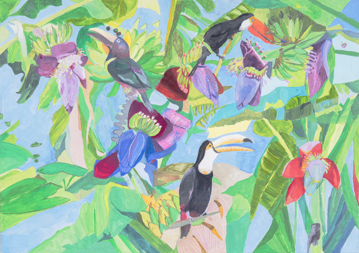 TOUCANS
