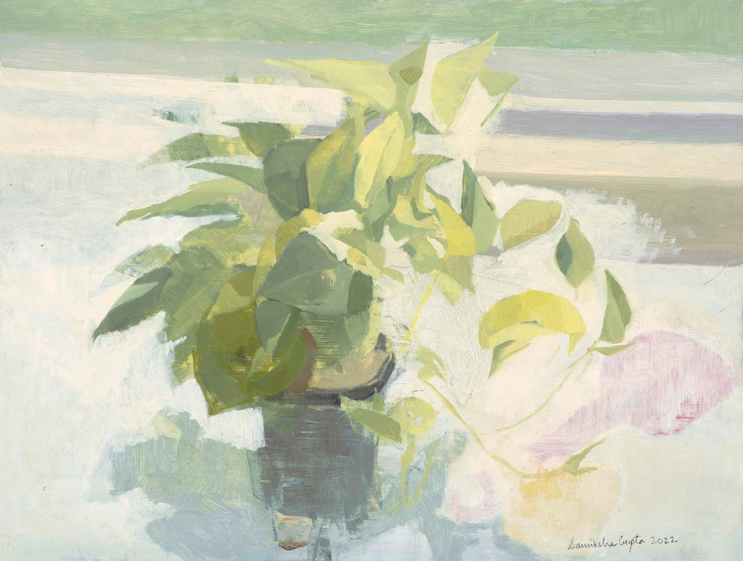 POTTED PLANT
