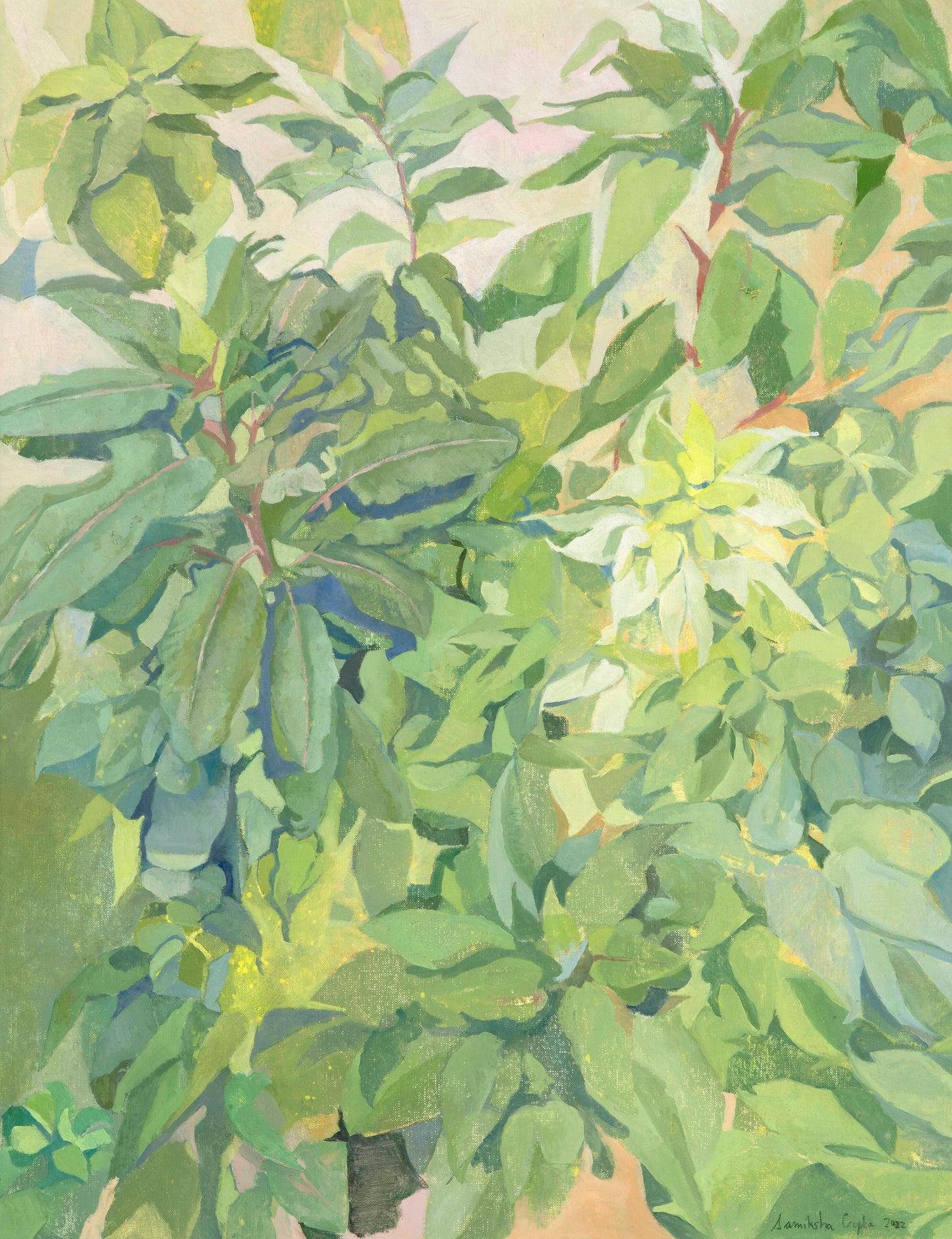 PLANT II