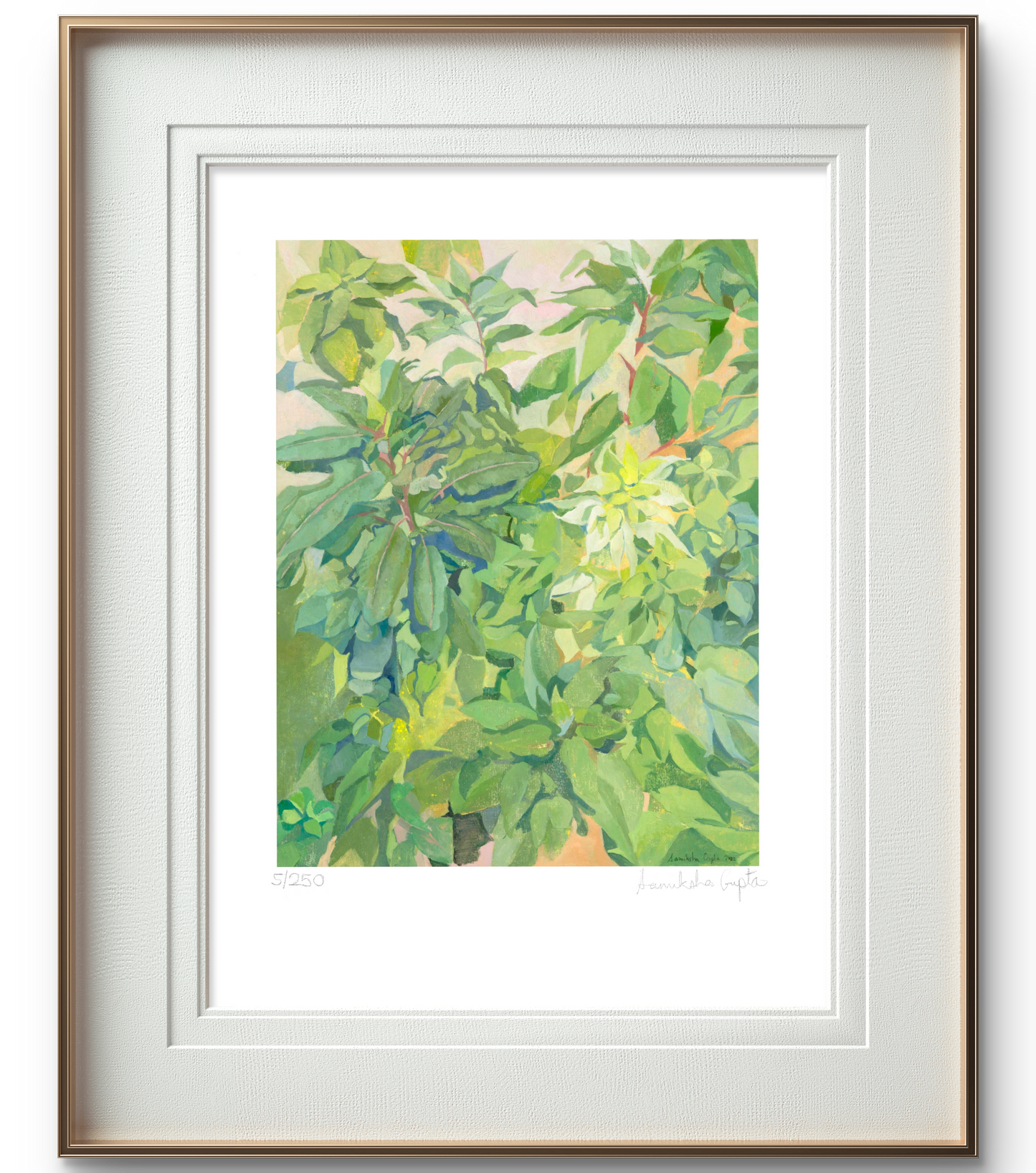 PLANT II
